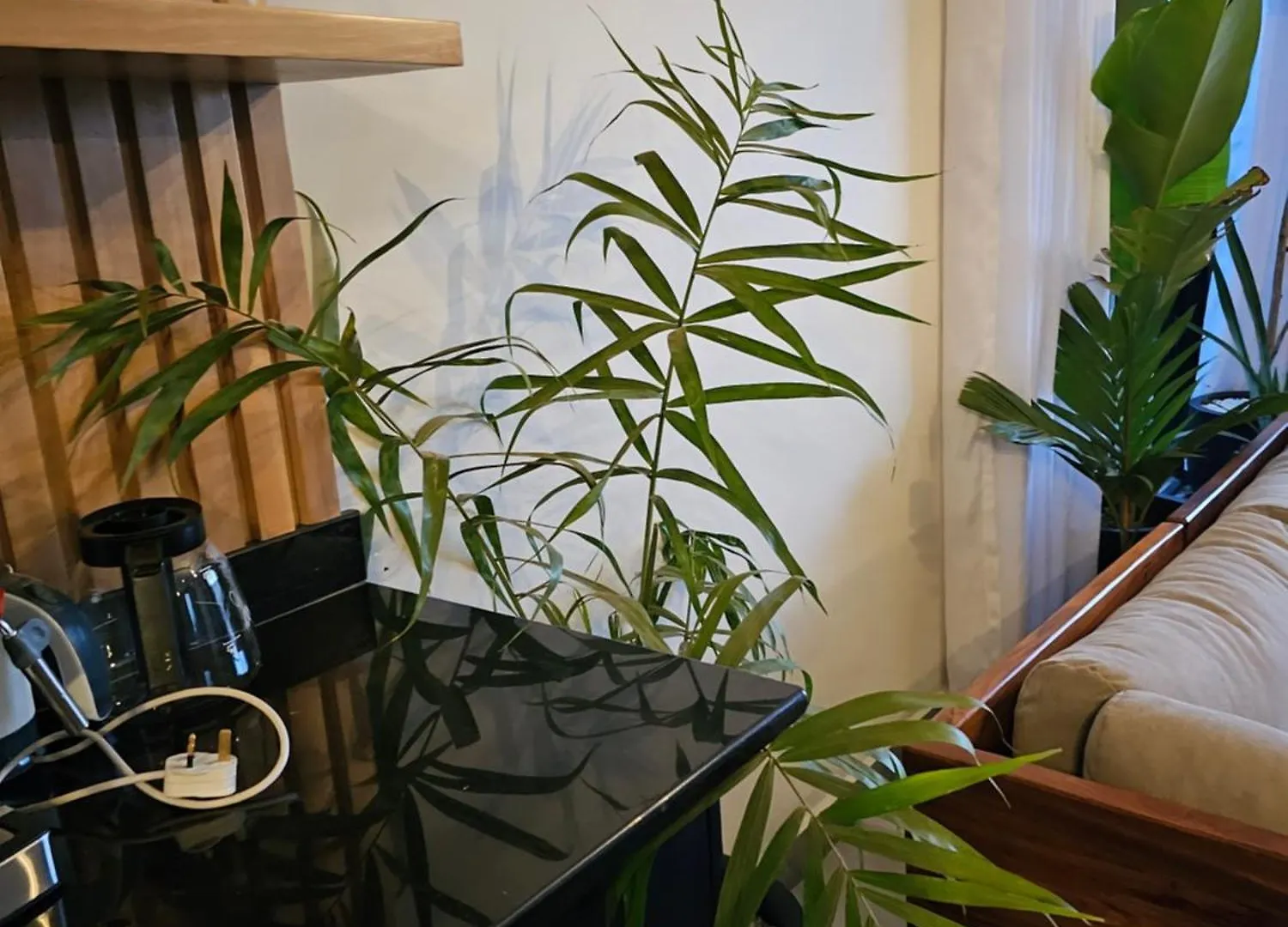 Ferienwohnung Muguet Kampala Privatunterkunft